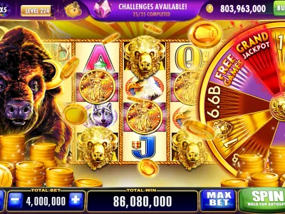 x7bet App Interface 5