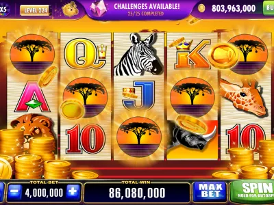 x7bet App Interface 6