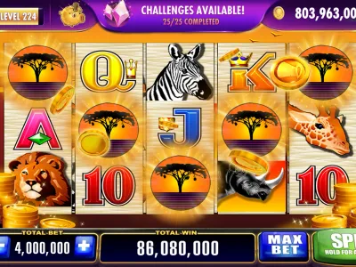 x7bet App Interface 3